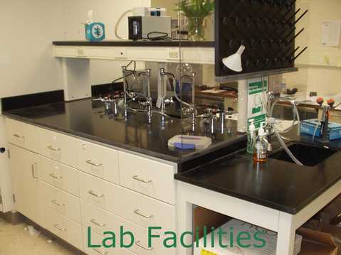 Zdilla Lab